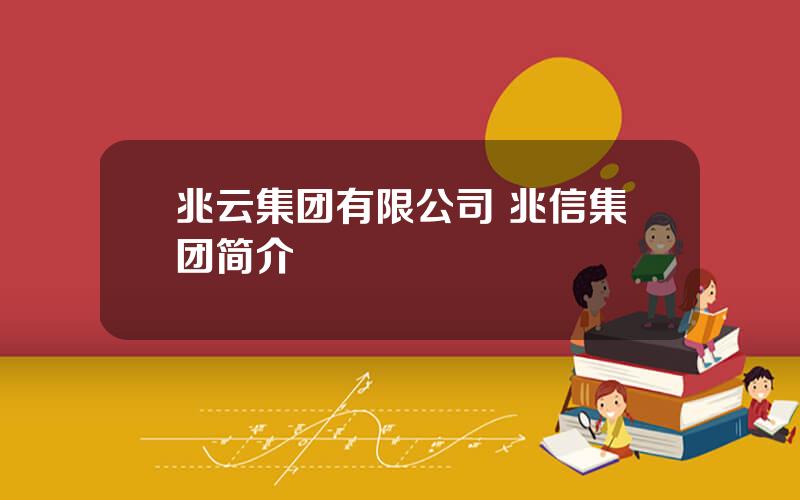 兆云集团有限公司 兆信集团简介